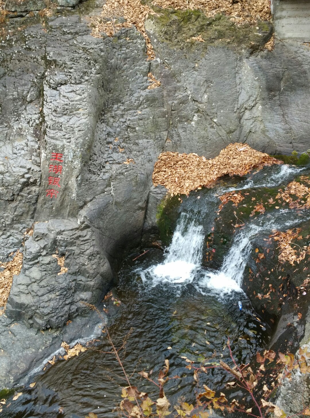 照片二