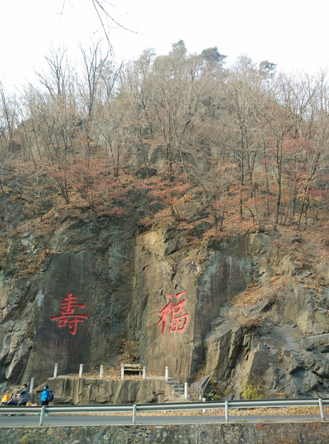 照片三